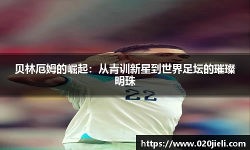 九游(NineGame)体育·官方网站